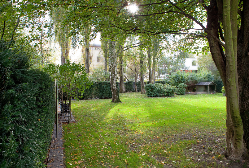 Sichtschutz und Buchshecken